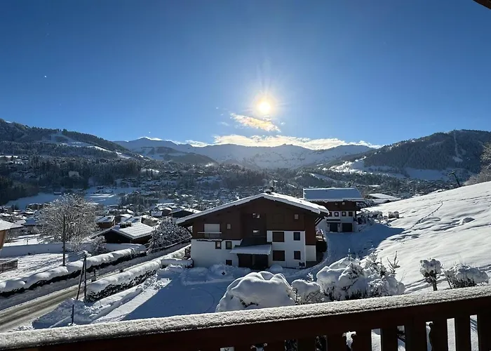 Le Repaire Proches Des Pistes Lejlighed *