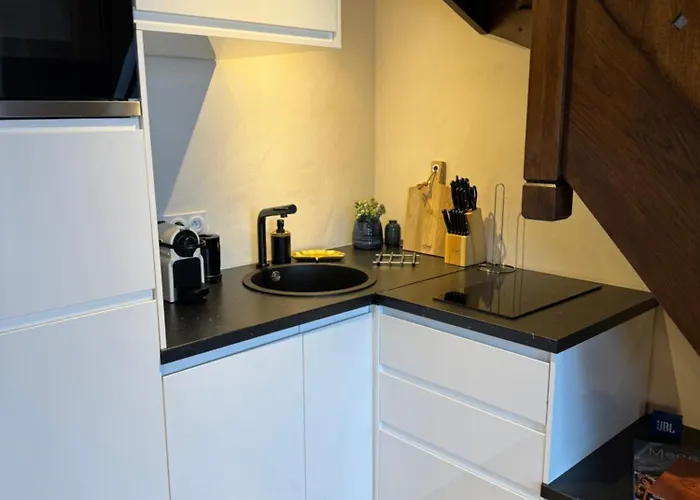 Le Repaire Proches Des Pistes Lejlighed *